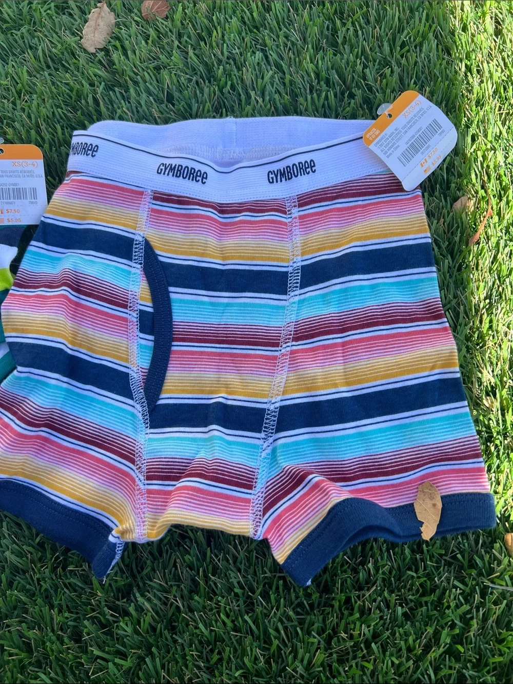Gymboree Boys' Blue, Green & Multi-Striped Briefs Set XS (3-4)